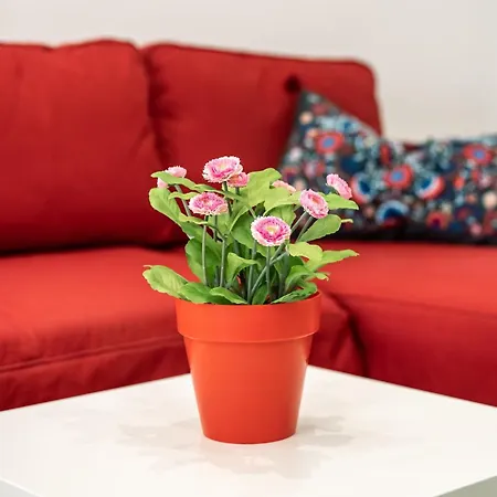 Aire Del Mar Apartment